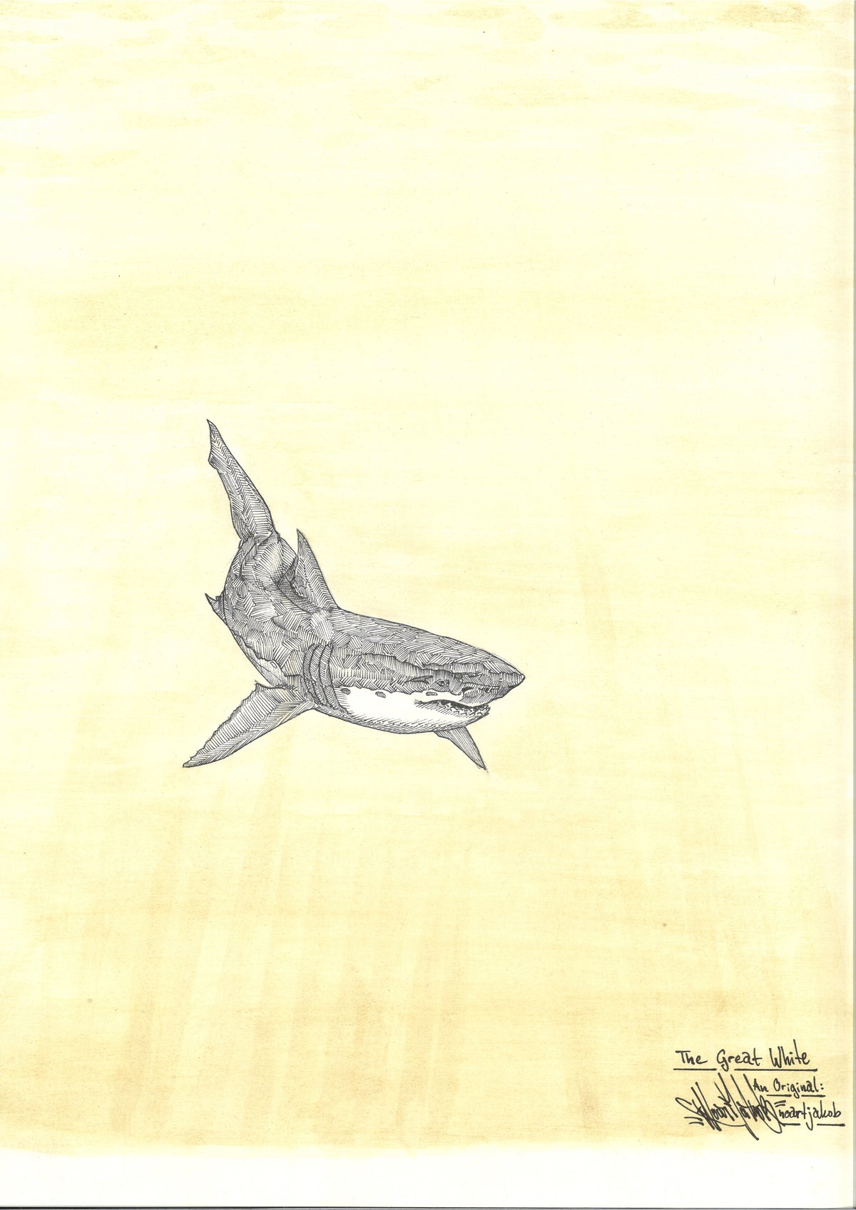 The Great White by Noart: a finely drawn shark on a pale yellow background, including the artist’s signature.
